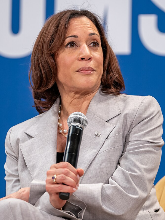 A New Poll Shows Who Democrats Want in 2028. Their Frontrunner Is Already Fading.